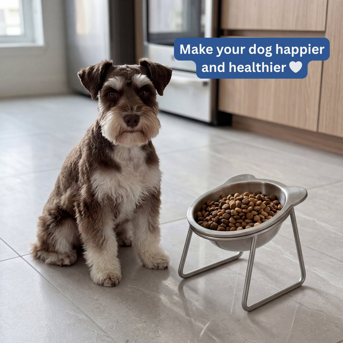 Somnair™ Orthopedic Feeding Bowl