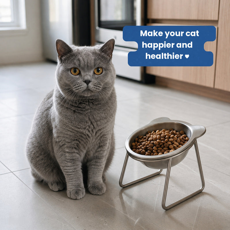 Somnair™ Orthopedic Cat Bowl