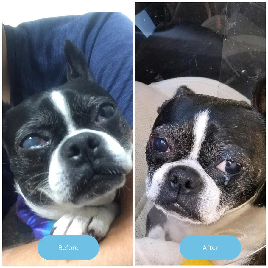 Before and after
