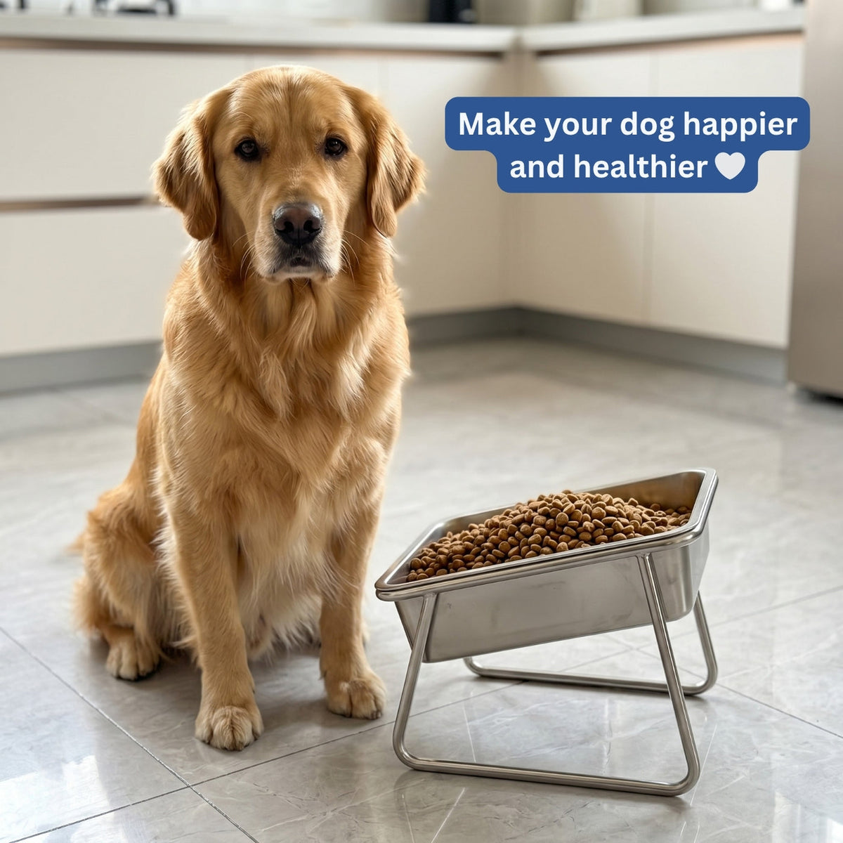 Somnair™ Orthopedic Feeder (with Stands)