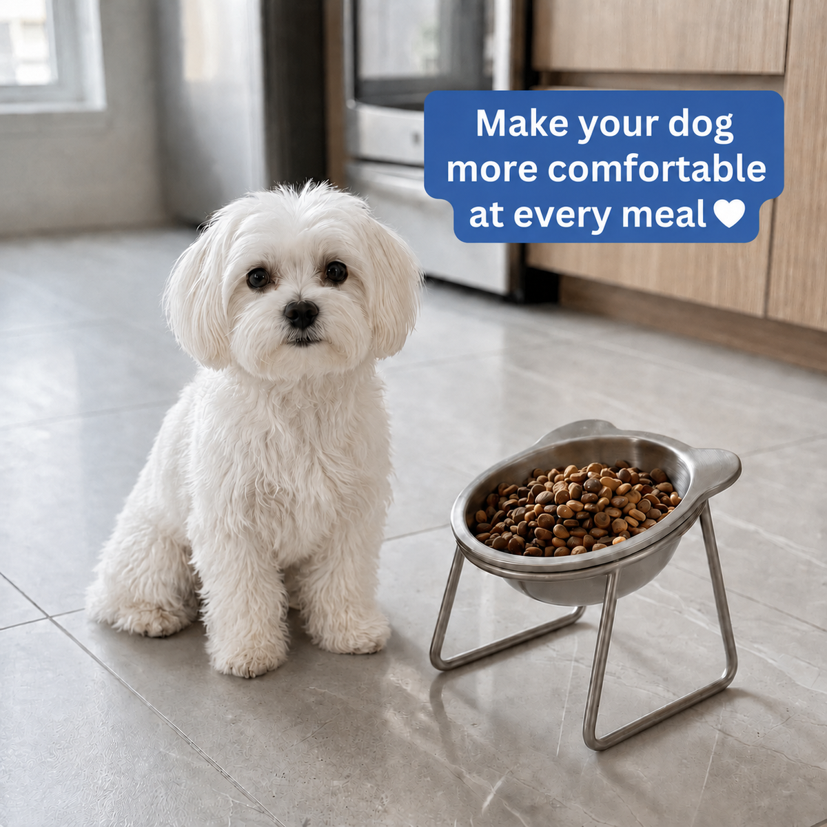 Somnair™ Elevated Dog Bowl