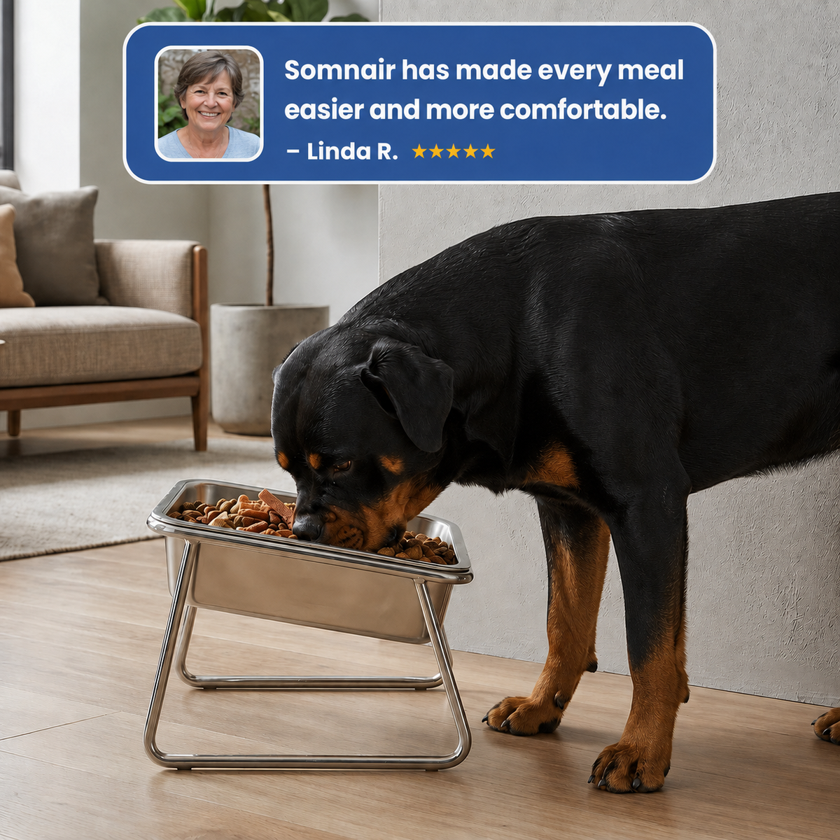 Somnair™ Elevated Dog Bowl — Large