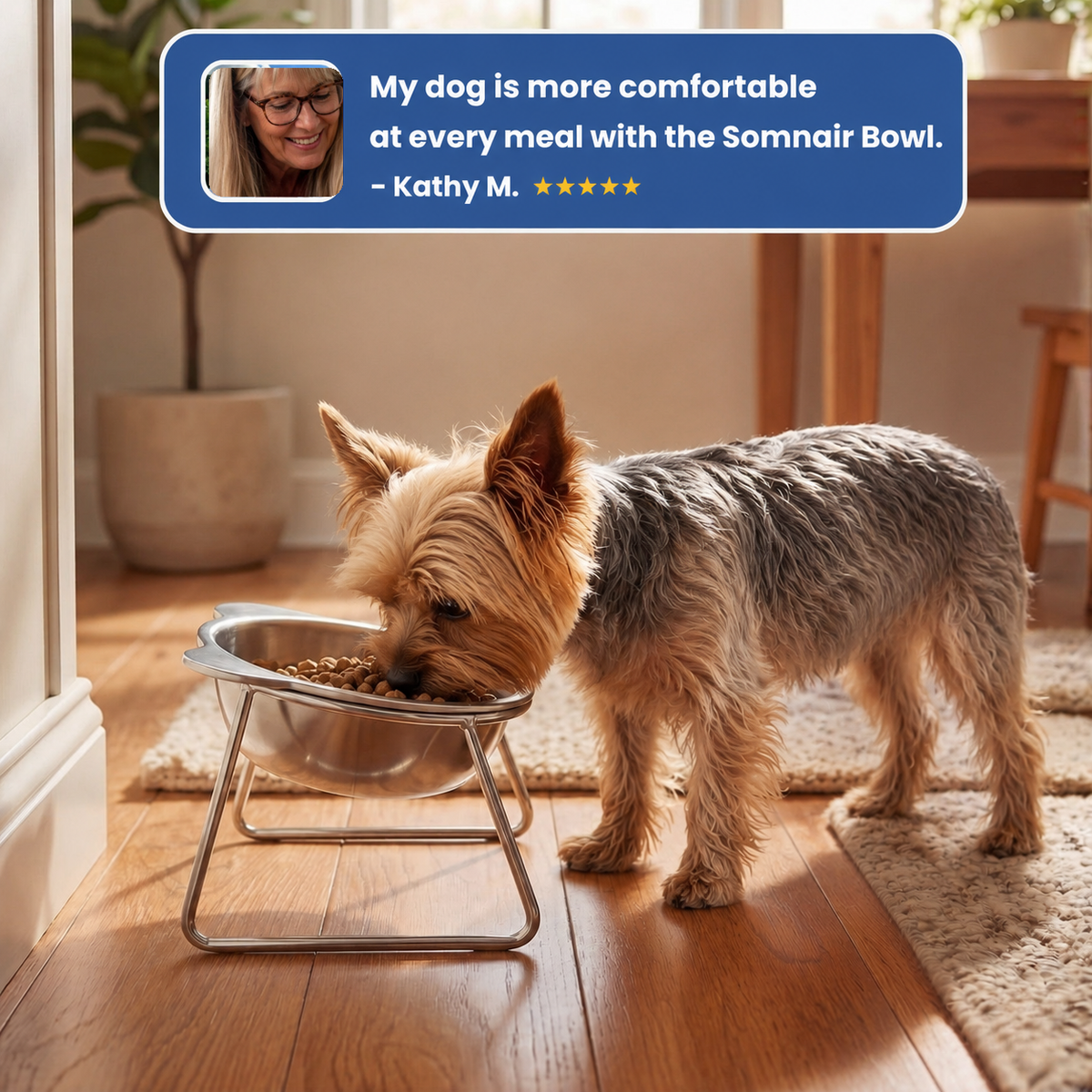 Somnair™ Elevated Dog Bowl