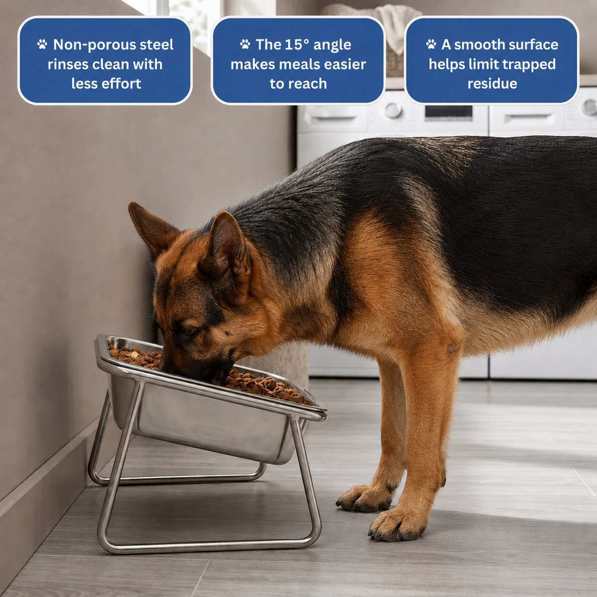 Somnair™ Elevated Dog Bowl — Large