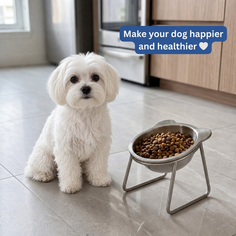 Somnair™ Elevated Dog Bowl