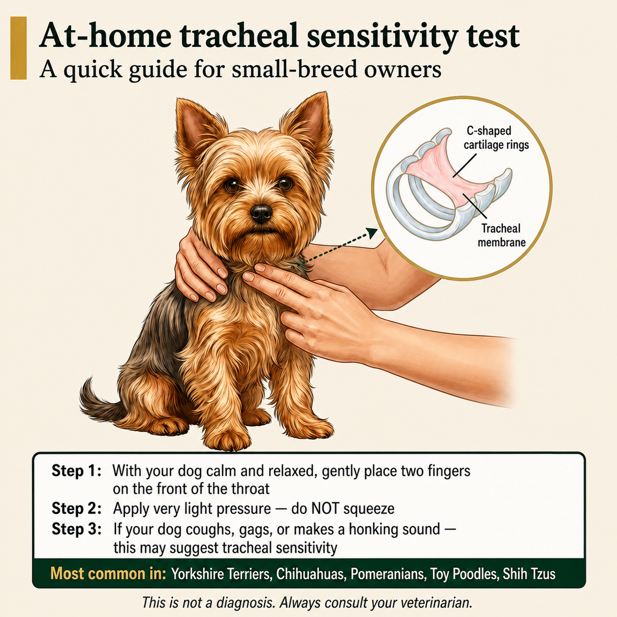 Somnair™ Breathe Easy Bites