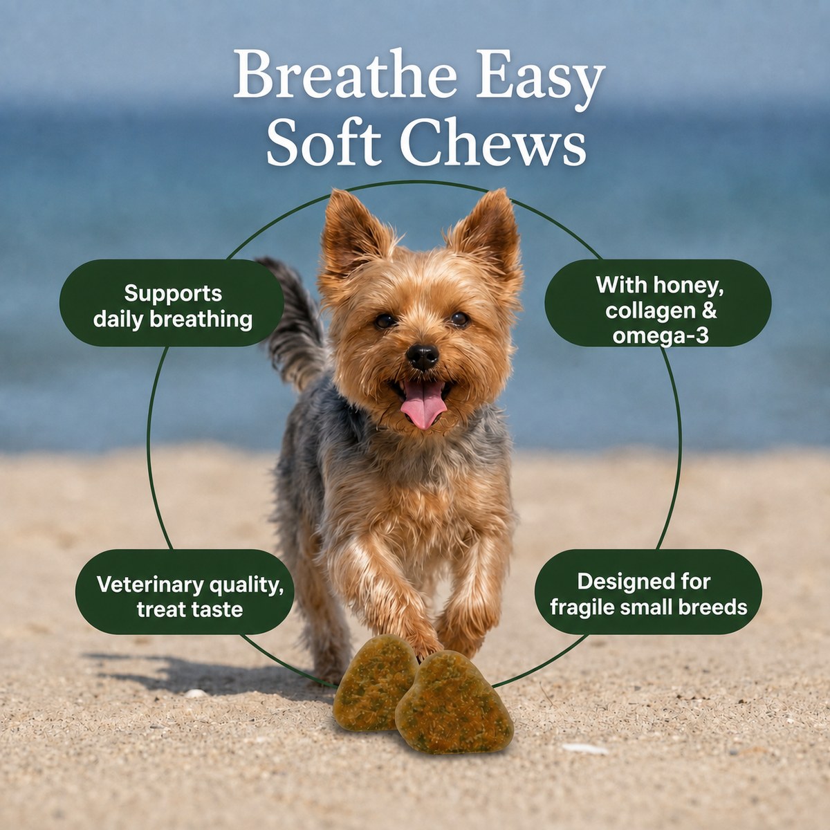 Somnair™ Breathe Easy Bites