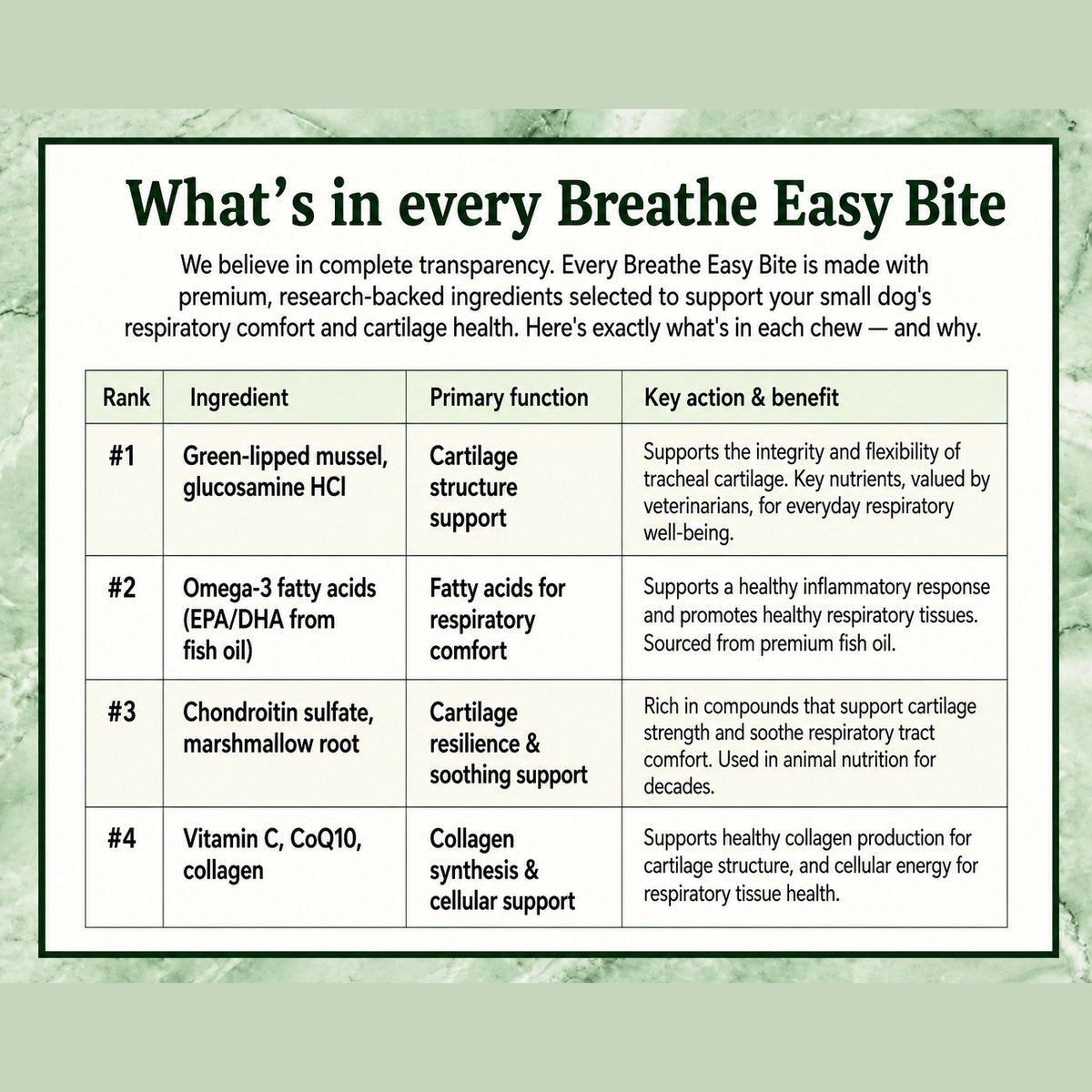 Somnair™ Breathe Easy Bites