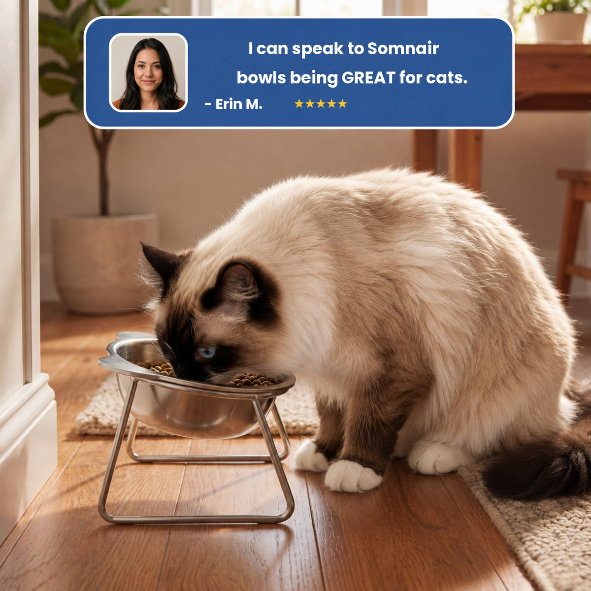Somnair™ Orthopedic Cat Bowl