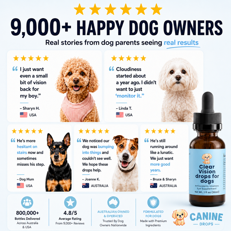 Senior Dog Multivitamin 15-in-1 Soft Chews Supplement