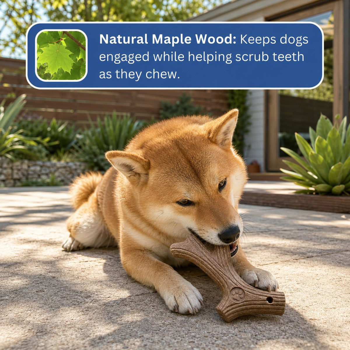 Somnair™ Maple Wood Chew