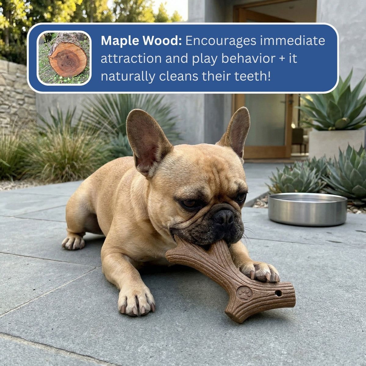 Somnair™ Maple Wood Chew