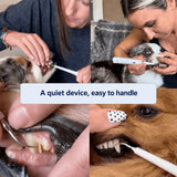 Somnair ultrasonic tartar remover for dogs