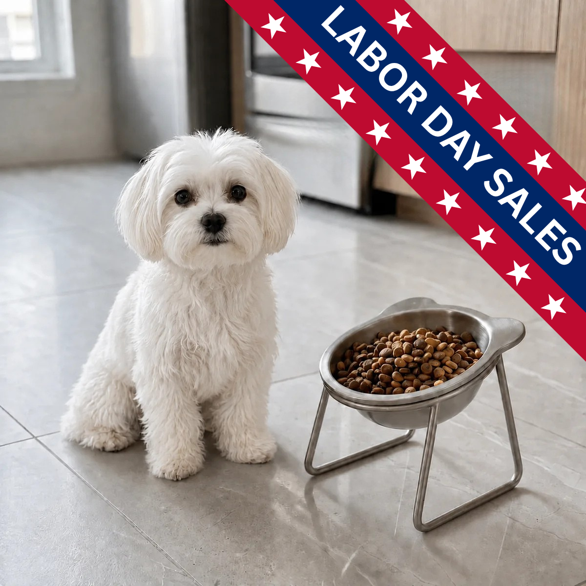 Somnair™ Elevated Dog Bowl
